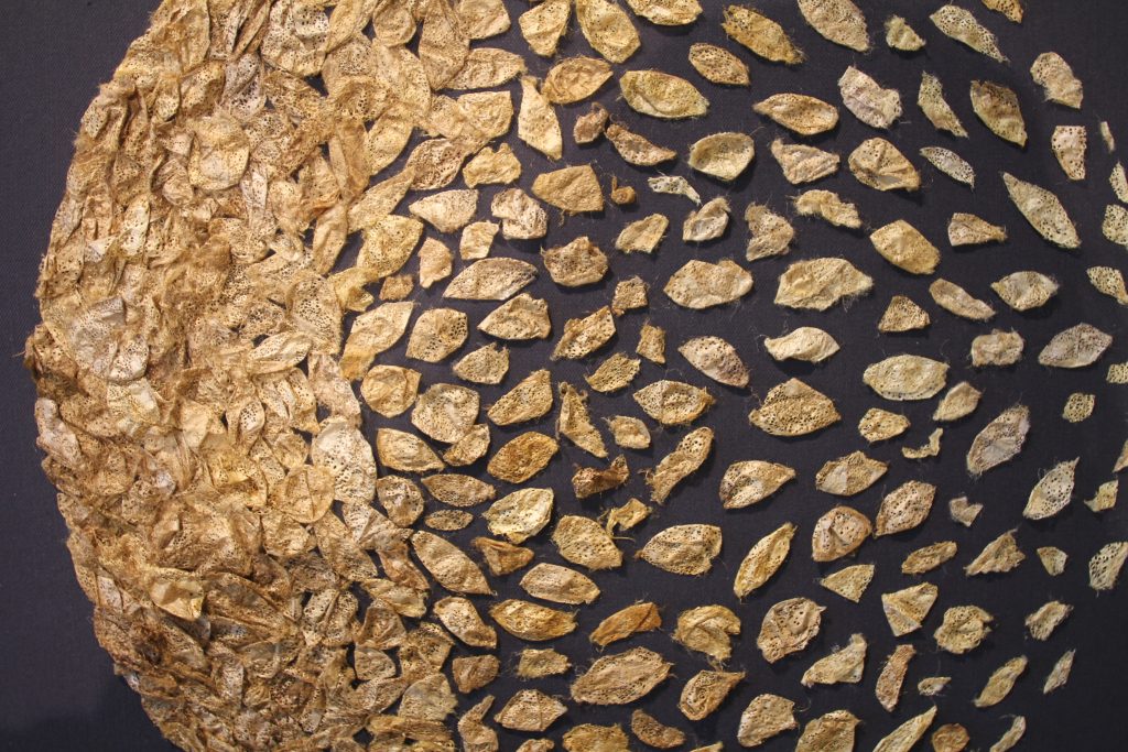A circular arrangement of dried, textured leaf fragments on a dark background. The leaves are clustered densely on the left side and spread out gradually towards the right, creating a gradient effect.