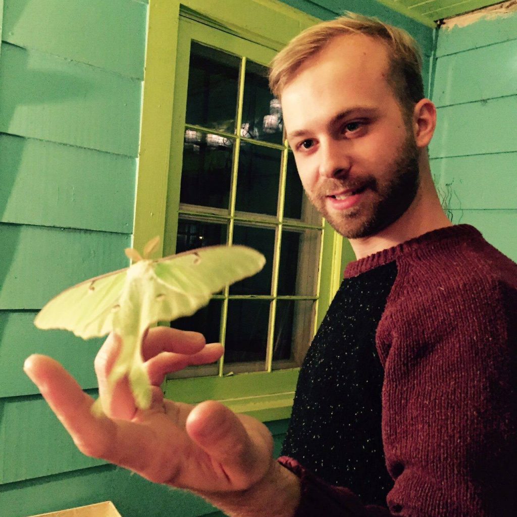 Man with short hair and a beard holds a large, green luna moth on his hand. He is standing indoors near a window with paneled walls painted teal. The moths wings are open, showcasing their distinctive color and shape.
