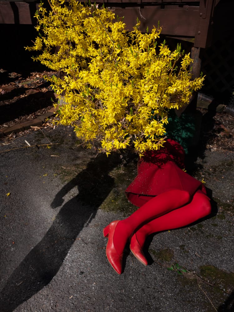 A person in red tights and shoes lies on pavement, their upper body hidden by a large branch of bright yellow flowers—an artistic, surreal scene featured in Lenscratch’s Top 25 to Watch for MassArt MFA graduates.