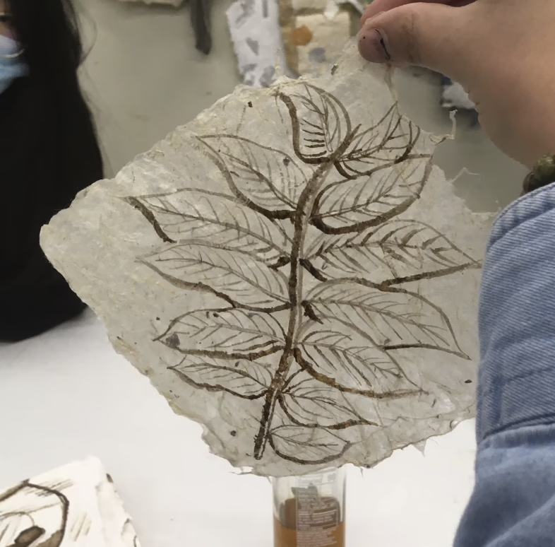 A hand holds up a translucent sheet from the Pigment Library, showcasing a detailed branch with leaves.